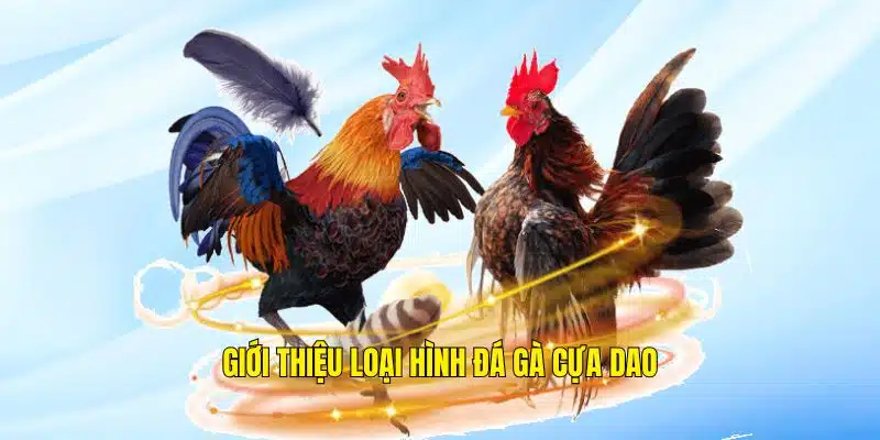 Quá trình ra đời của loại hình đá gà cựa dao